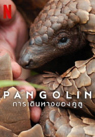 Pangolin-Kulus-Journey-2025-การเดินทางของคูลู-187x269